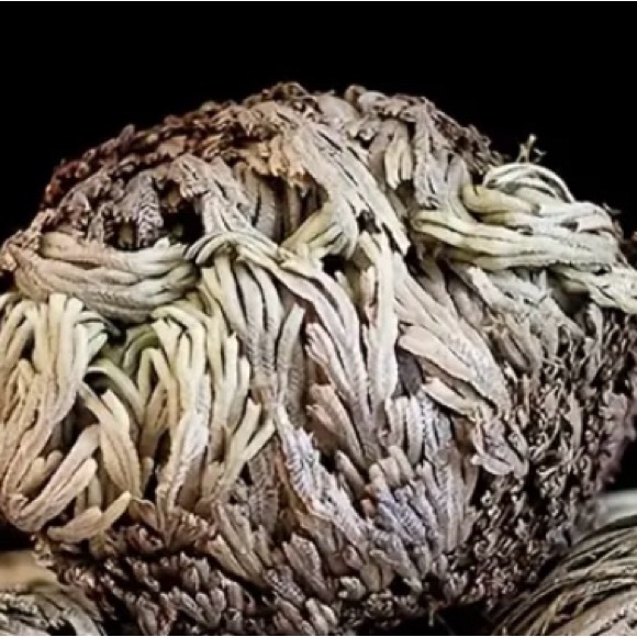 LAST ONE Rose of Jericho,  One Plant , Spiritual Cleansing, Luck, and Prosperity - Picture 6 of 8